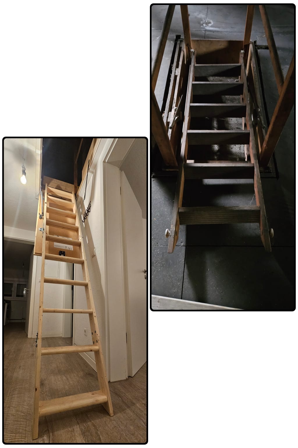 AT Solutions, vor und nach dem Beschneiden von Gartenbäumen