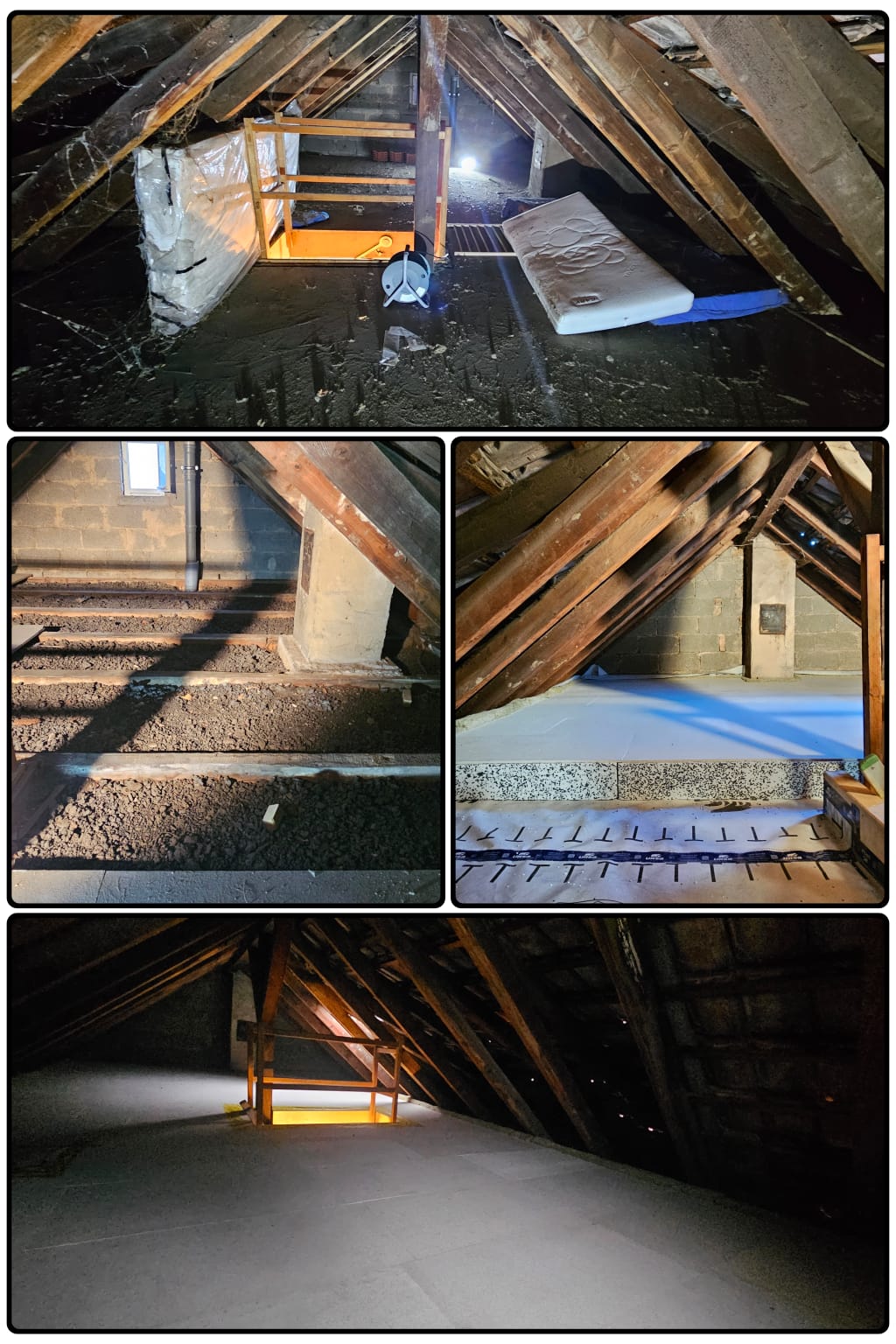 AT Solutions, vor und nach dem Beschneiden von Gartenbäumen